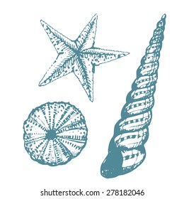 Vector Illustration of various sea inhabitant doodled in a vintage style. 