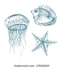 Vector Illustration of various sea inhabitant doodled in a vintage style. 