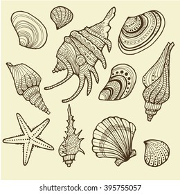 Vector Illustration of various sea shells doodled in a vintage style. Conch shell, spiral, clam, sea star, and others. 