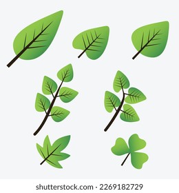 vector illustration of various shapes of green leaves : suitable for design works with a natural theme