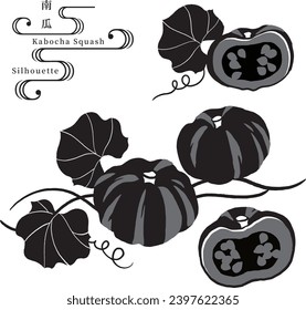 Vector illustration of various squashes