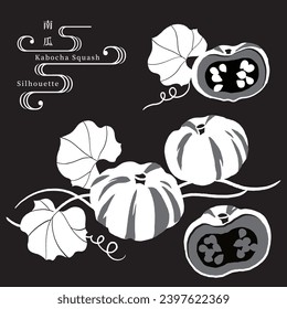 Vector illustration of various squashes