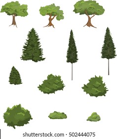 Vector illustration of various trees and shrubs.