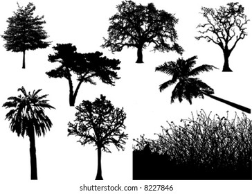 Ilustración vectorial de varios árboles y arbustos