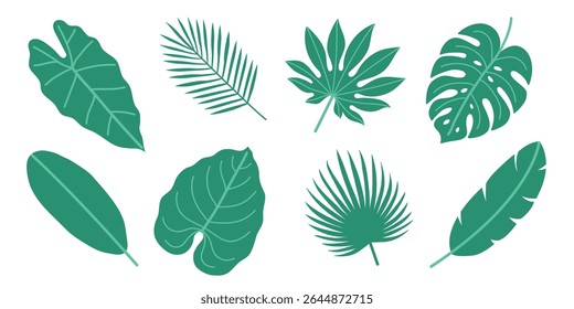 Vector illustration of various tropical green leaves in flat design. For botanical, summer, vacation, holiday, nature, and eco-themed projects. White isolated background.