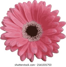 vector illustration of various types of flowers a combination of art and God's creatures which will be even more beautiful when associated with other objects