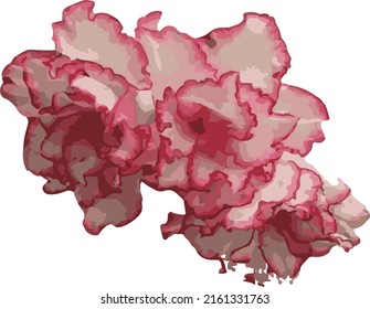 vector illustration of various types of flowers a combination of art and God's creatures which will be even more beautiful when associated with other objects