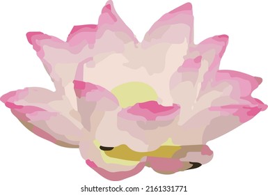 vector illustration of various types of flowers a combination of art and God's creatures which will be even more beautiful when associated with other objects
