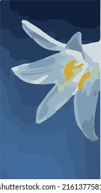 vector illustration of various types of flowers a combination of art and God's creatures which will be even more beautiful when associated with other objects