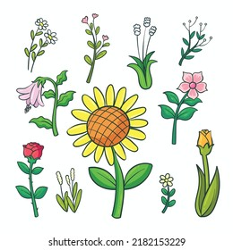 vector illustration of various types of flowers. Flowers are various colors.