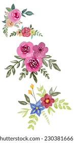 vector illustration of various types of leaves and flowers in various colors
