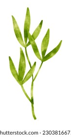 vector illustration of various types of leaves and flowers in various colors