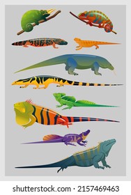 Vector illustration of various types of reptiles or lizards in a set