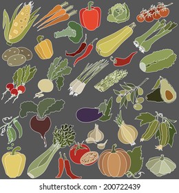 vector illustration of various vegetables 