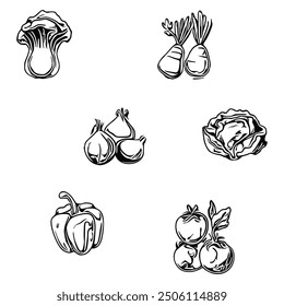 Vector illustration of various vegetables