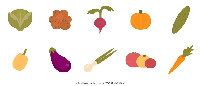 Ilustración vectorial de varios vegetales, incluyendo lechuga, papas, rábano, calabaza, pepino y más.