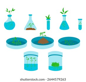 Vector illustration of various in vitro plants growing in glass test tubes, representing plant tissue culture, biotechnology, and micropropagation. Ideal for educational, scientific, and agricultural