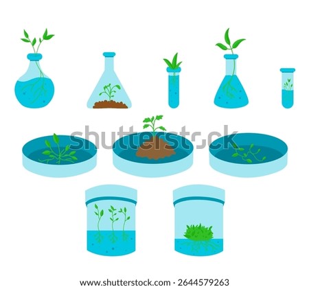 Vector illustration of various in vitro plants growing in glass test tubes, representing plant tissue culture, biotechnology, and micropropagation. Ideal for educational, scientific, and agricultural
