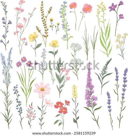 vector illustration of various wildflowers and delicate plants arranged artistically on a white background