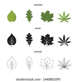Vector illustration of vegan and organic icon. Collection of vegan and fresh vector icon for stock.