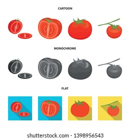 Vector illustration of vegetable and delicious icon. Set of vegetable and natural stock symbol for web.