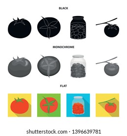 Vector illustration  vegetable and delicious sign. Set  vegetable and natural vector icon for stock.