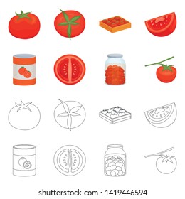 Vector illustration of vegetable and delicious sign. Collection of vegetable and natural stock symbol for web.