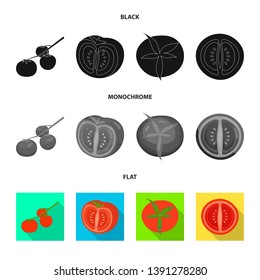 Vector illustration of vegetable and delicious symbol. Set of vegetable and natural stock symbol for web.