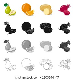 Vector illustration of vegetable and fruit icon. Collection of vegetable and vegetarian stock symbol for web.