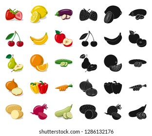 Vector illustration of vegetable and fruit icon. Set of vegetable and vegetarian stock symbol for web.