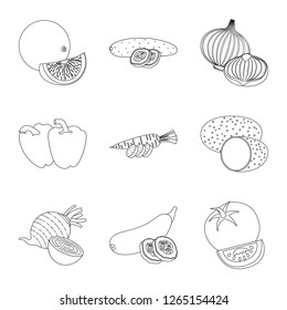 Vector illustration of vegetable and fruit sign. Collection of vegetable and vegetarian stock vector illustration.