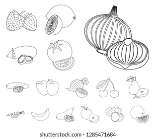 Vector illustration of vegetable and fruit sign. Collection of vegetable and vegetarian stock symbol for web.