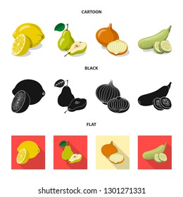 Vector illustration of vegetable and fruit sign. Collection of vegetable and vegetarian stock symbol for web.