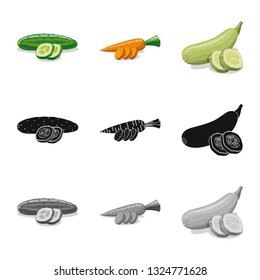 Vector illustration of vegetable and fruit sign. Collection of vegetable and vegetarian vector icon for stock.