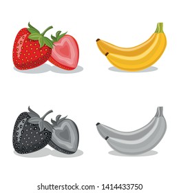 Vector illustration of vegetable and fruit sign. Collection of vegetable and vegetarian stock symbol for web.