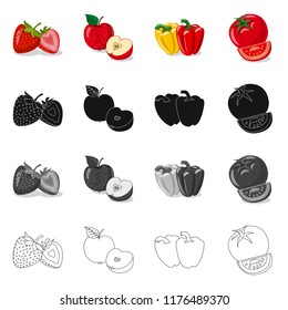 Vector illustration of vegetable and fruit symbol. Collection of vegetable and vegetarian stock symbol for web.