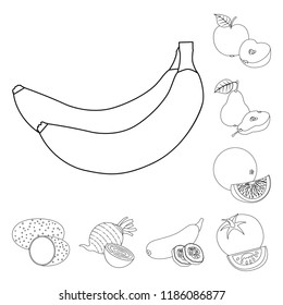 Vector illustration of vegetable and fruit symbol. Collection of vegetable and vegetarian stock symbol for web.