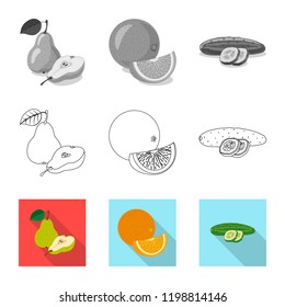 Vector illustration of vegetable and fruit symbol. Collection of vegetable and vegetarian stock vector illustration.