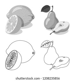Vector illustration of vegetable and fruit symbol. Set of vegetable and vegetarian stock symbol for web.