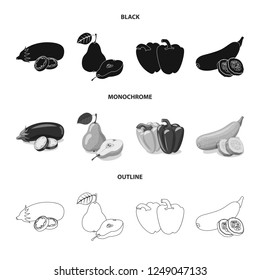 Vector illustration of vegetable and fruit symbol. Set of vegetable and vegetarian vector icon for stock.