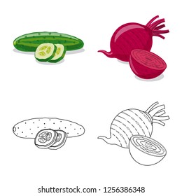 Vector illustration of vegetable and fruit symbol. Set of vegetable and vegetarian stock vector illustration.