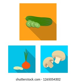 Vector illustration of vegetable and fruit symbol. Collection of vegetable and food stock vector illustration.