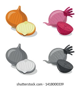 Vector illustration of vegetable and fruit symbol. Collection of vegetable and vegetarian vector icon for stock.