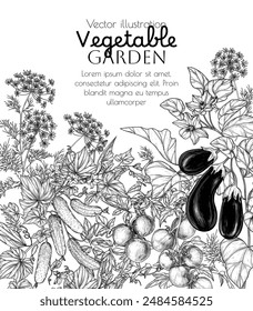 Vector illustration of a vegetable garden. Tomatoes, eggplants, cucumbers, dill in engraving style