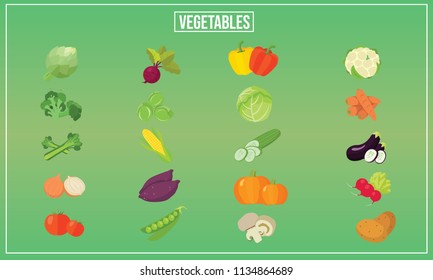 Vector illustration of Vegetable graphic 

