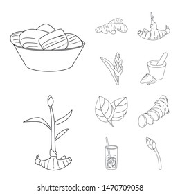 Vector illustration of vegetable and natural logo. Set of vegetable and ingredient stock symbol for web.
