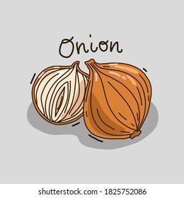Ilustración vectorial con verdura. Cebolla y media cebolla. Fondo aislado.