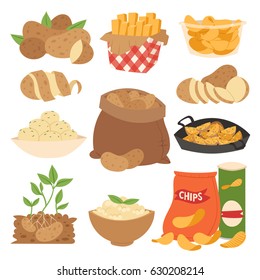Vector ilustración productos de patata vegetal rallados alimentos hervidos fritos al vapor harina cruda