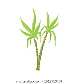 Vector illustration of vegetable and sugar logo. Graphic of vegetable and cane stock vector illustration.