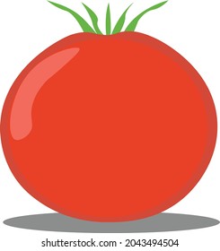 Vector illustration Vegetable symbol tomato